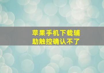 苹果手机下载辅助触控确认不了