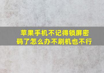 苹果手机不记得锁屏密码了怎么办不刷机也不行