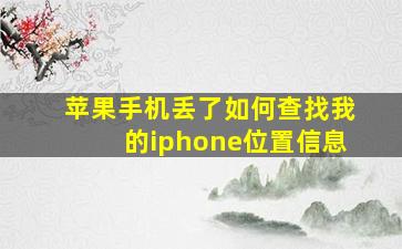 苹果手机丢了如何查找我的iphone位置信息