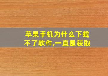 苹果手机为什么下载不了软件,一直是获取