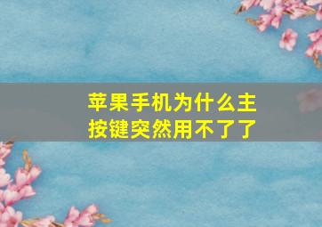 苹果手机为什么主按键突然用不了了