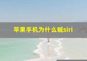 苹果手机为什么喊siri