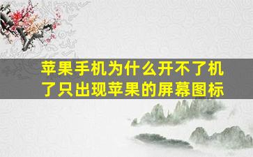 苹果手机为什么开不了机了只出现苹果的屏幕图标