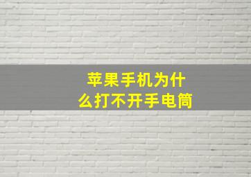 苹果手机为什么打不开手电筒