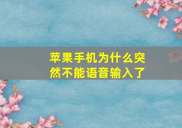 苹果手机为什么突然不能语音输入了