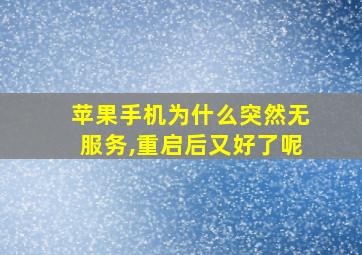 苹果手机为什么突然无服务,重启后又好了呢