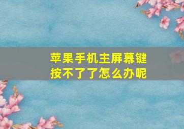 苹果手机主屏幕键按不了了怎么办呢