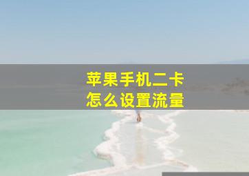 苹果手机二卡怎么设置流量