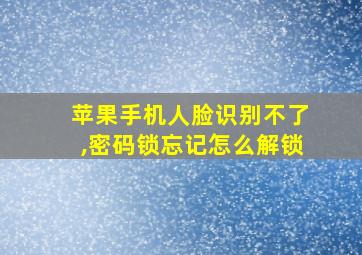 苹果手机人脸识别不了,密码锁忘记怎么解锁