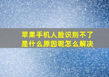 苹果手机人脸识别不了是什么原因呢怎么解决