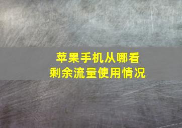 苹果手机从哪看剩余流量使用情况