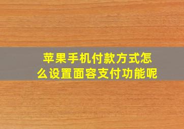 苹果手机付款方式怎么设置面容支付功能呢