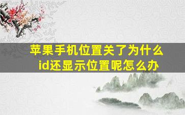 苹果手机位置关了为什么id还显示位置呢怎么办