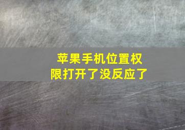 苹果手机位置权限打开了没反应了