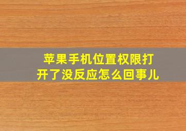 苹果手机位置权限打开了没反应怎么回事儿