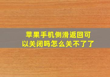 苹果手机侧滑返回可以关闭吗怎么关不了了