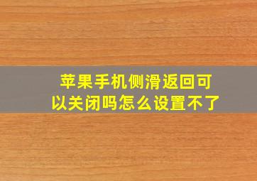 苹果手机侧滑返回可以关闭吗怎么设置不了