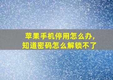 苹果手机停用怎么办,知道密码怎么解锁不了