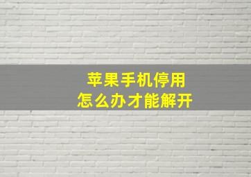 苹果手机停用怎么办才能解开