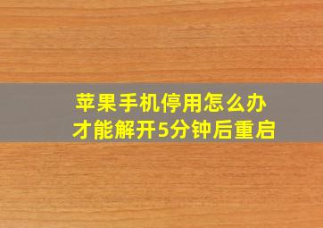 苹果手机停用怎么办才能解开5分钟后重启