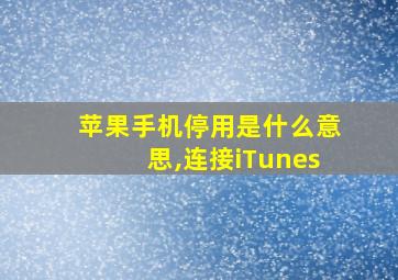 苹果手机停用是什么意思,连接iTunes