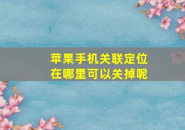 苹果手机关联定位在哪里可以关掉呢