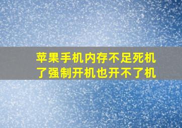 苹果手机内存不足死机了强制开机也开不了机