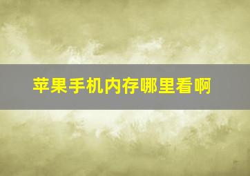 苹果手机内存哪里看啊