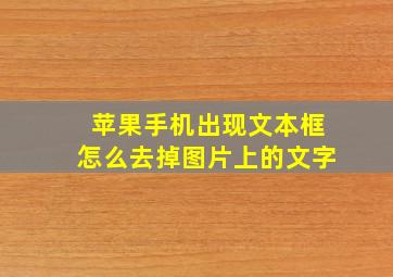 苹果手机出现文本框怎么去掉图片上的文字