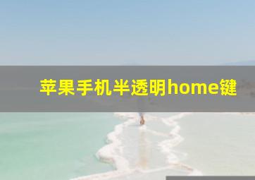 苹果手机半透明home键