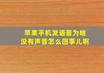 苹果手机发语音为啥没有声音怎么回事儿啊