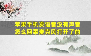 苹果手机发语音没有声音怎么回事麦克风打开了的