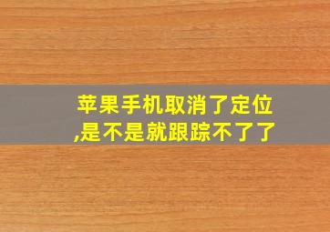 苹果手机取消了定位,是不是就跟踪不了了