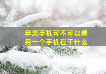 苹果手机可不可以看另一个手机在干什么