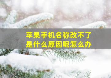 苹果手机名称改不了是什么原因呢怎么办