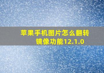 苹果手机图片怎么翻转镜像功能12.1.0