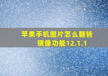 苹果手机图片怎么翻转镜像功能12.1.1