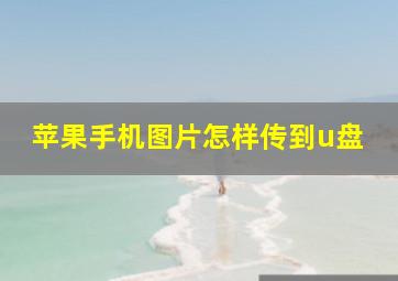 苹果手机图片怎样传到u盘