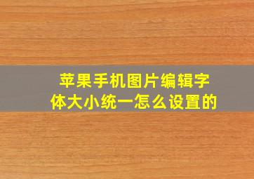 苹果手机图片编辑字体大小统一怎么设置的