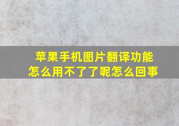 苹果手机图片翻译功能怎么用不了了呢怎么回事