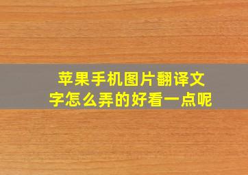 苹果手机图片翻译文字怎么弄的好看一点呢