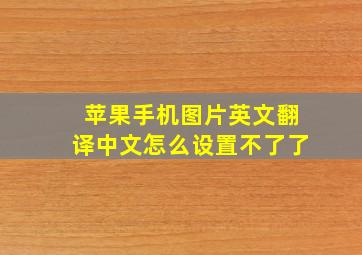 苹果手机图片英文翻译中文怎么设置不了了