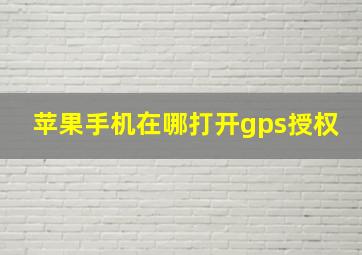 苹果手机在哪打开gps授权