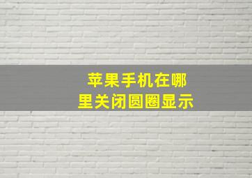 苹果手机在哪里关闭圆圈显示