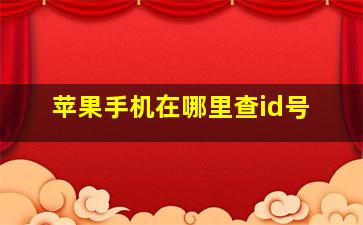 苹果手机在哪里查id号