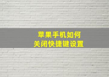 苹果手机如何关闭快捷键设置