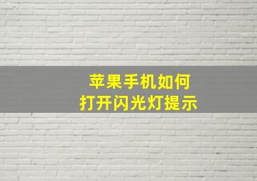 苹果手机如何打开闪光灯提示