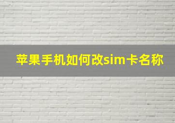 苹果手机如何改sim卡名称