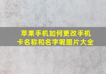 苹果手机如何更改手机卡名称和名字呢图片大全