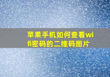 苹果手机如何查看wifi密码的二维码图片